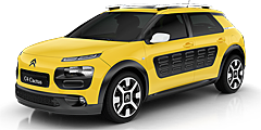 C4 Cactus (0) 2014